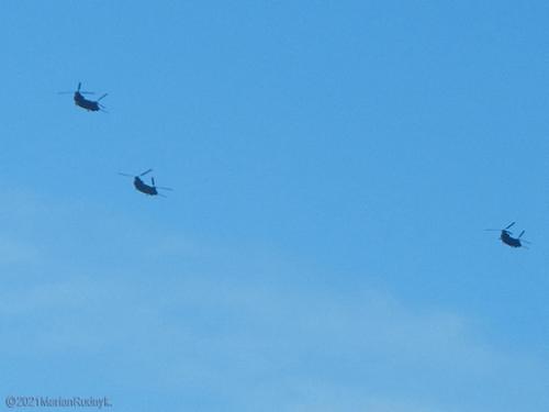One Jan. 25, 2-019 three Chinook battlefield helicopters overflew this area. The spear-like protrusion in front of each one is an extended re-fueling tube - obviously these aircraft came from a long distance to be here over Monrovia, CA. They've been known to sometimes go into BigM canyons as well.