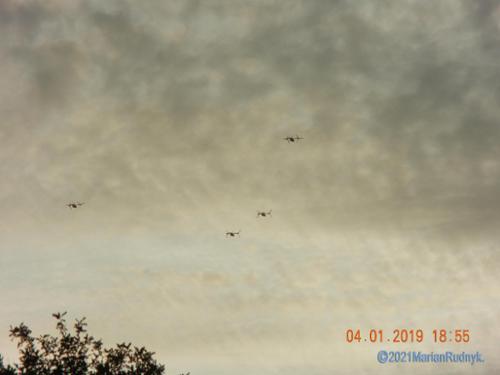 The BigM mountains & canyons seem to be "Osprey Alley" as these advanced helicopters continued to appear alone, pairs & even in full on squadrons of 4 - flying low & entering the BigM canyons - sometimes even landing there. These arrived on 4-1-2019. Make sure to also check out the posted video too.