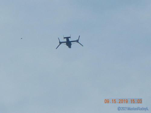 The lead military Osprey, of a squadron of 4 - passes low & very loud - directly over my house (that's a curious bird on the left of it) on Sept. 15, 2019.