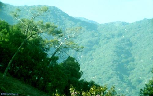 I got this view behind the BigM mountain by climbing onto my roof & using a powerful zoom. Revealed here is the extremely rugged terrain of the canyons behind the mountain - & where all the UFO & military aircraft appear to go.

(c)2020MarianRudnyk